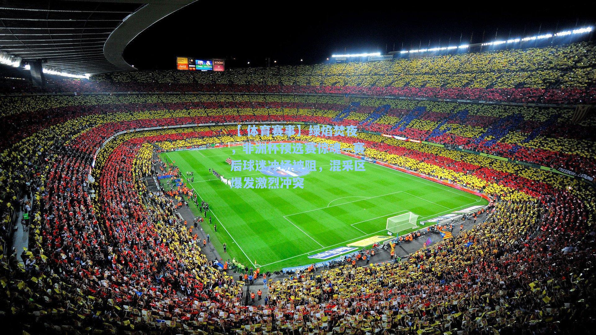 绿焰焚夜，非洲杯预选赛惊魂—赛后球迷冲场被阻，混采区爆发激烈冲突